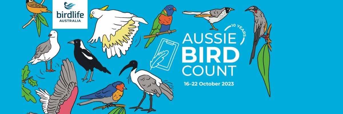 Big Aussie Bird Count | Envirotivity